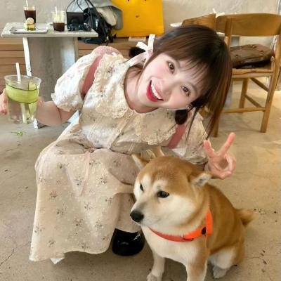 家谱